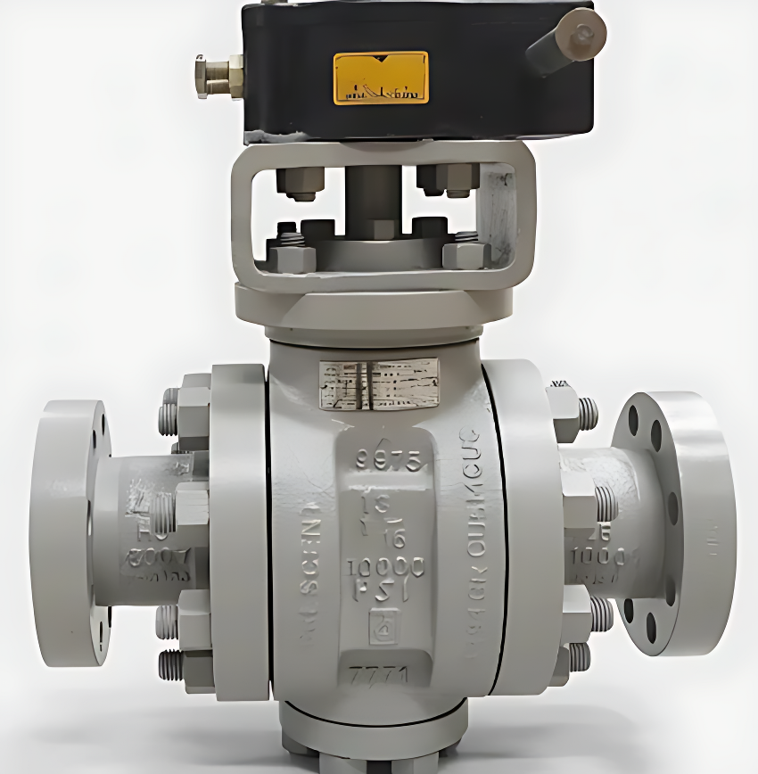 Trunnion Mounted Ball Valves